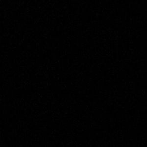 Meet your Posher, Susanna